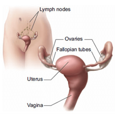 cancer-free-mumbai-img