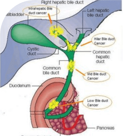 cancer-free-mumbai-img