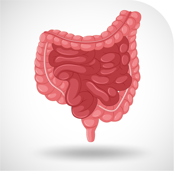 pancreatic-cancer-hero-img